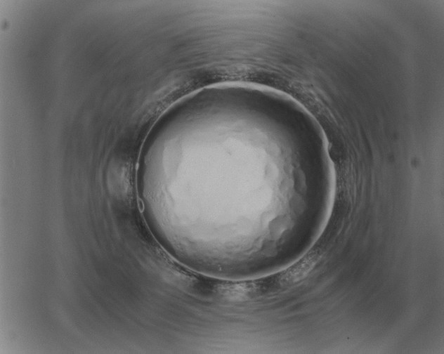 X0000062880131200601201829