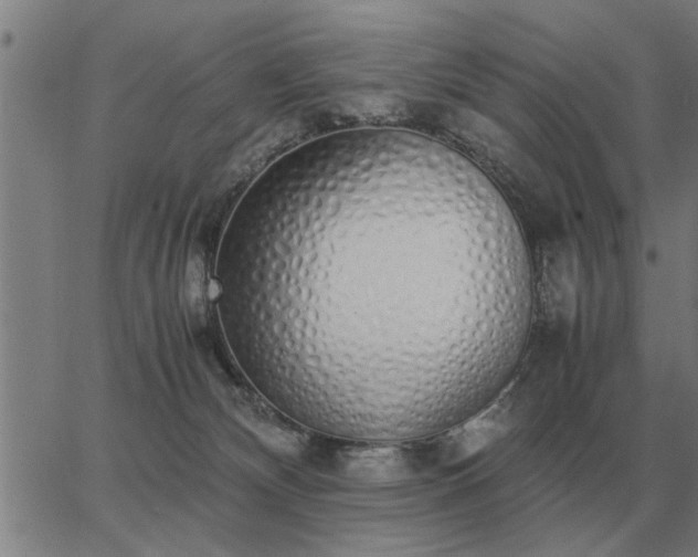 X0000062880132200601201829