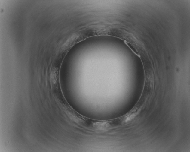 X0000062880133200601201829