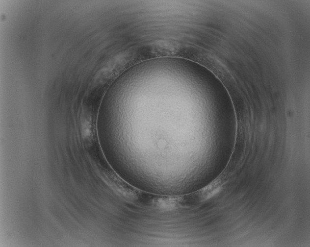 X0000062880134200601201829