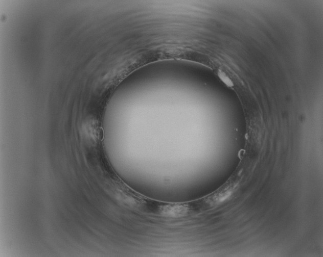 X0000062880135200601201829