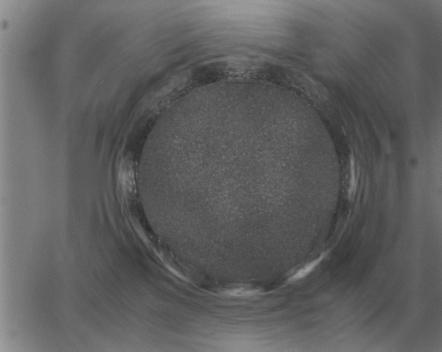 X0000062880137200601201829