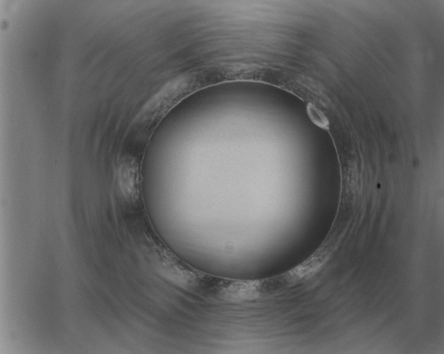 X0000062880138200601201829