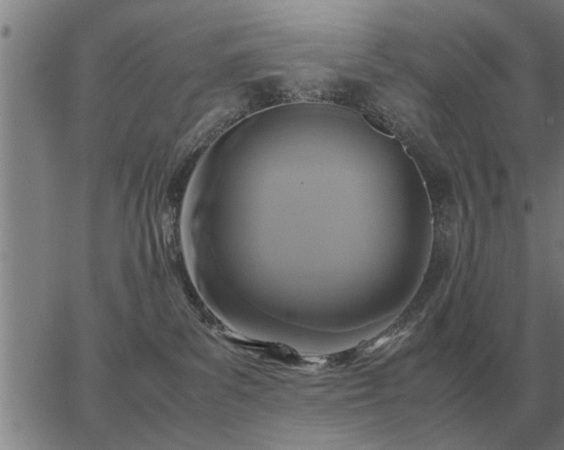 X0000062880139200601201829