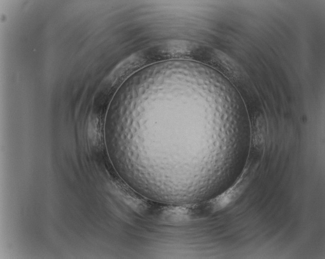 X0000062880140200601201829