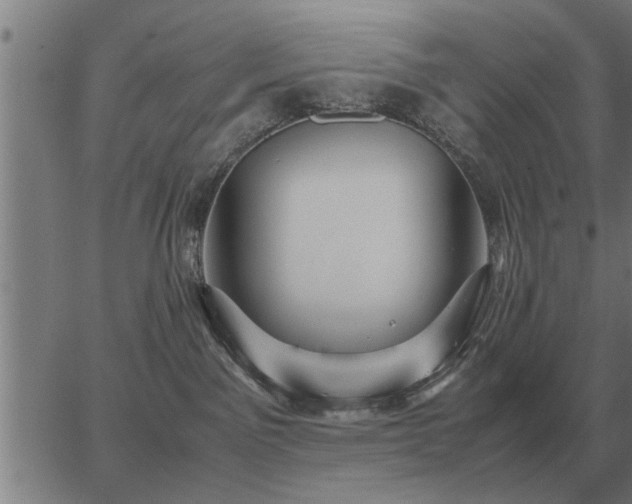 X0000062880141200601201829