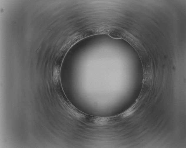 X0000062880142200601201829