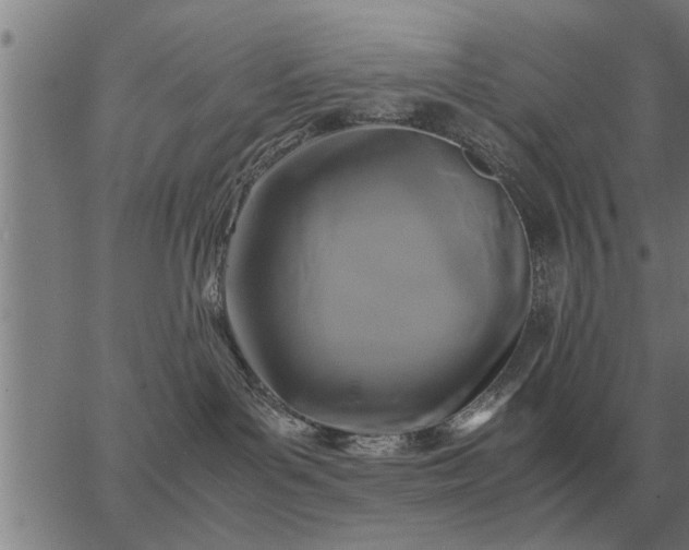 X0000062880143200601201829