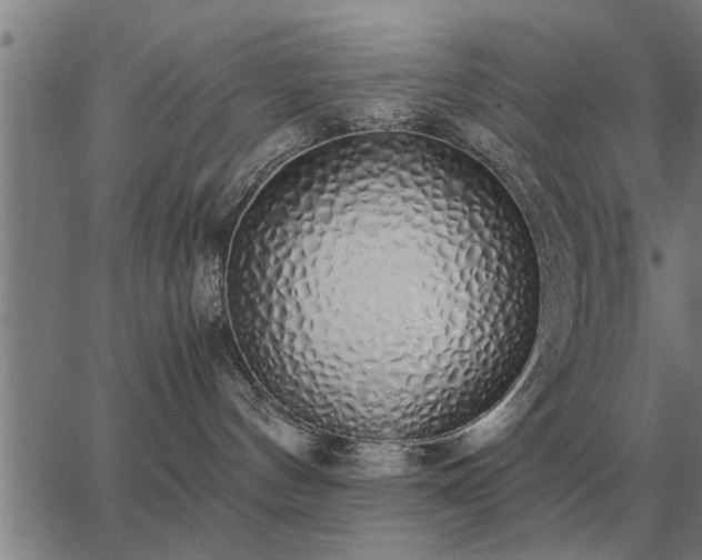 X0000062880144200601201829