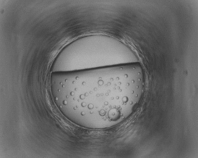 X0000062880145200601201828