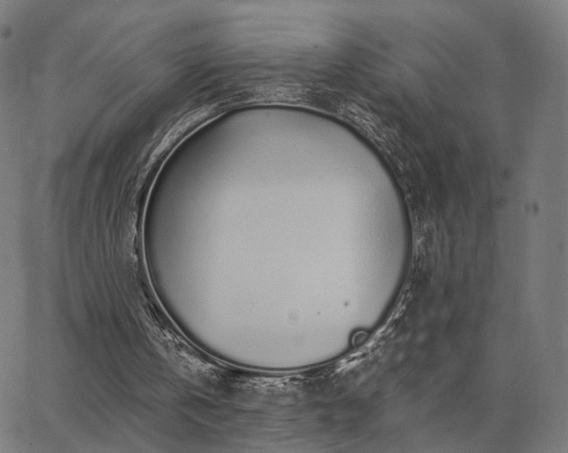 X0000062880146200601201828