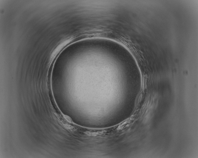 X0000062880147200601201828