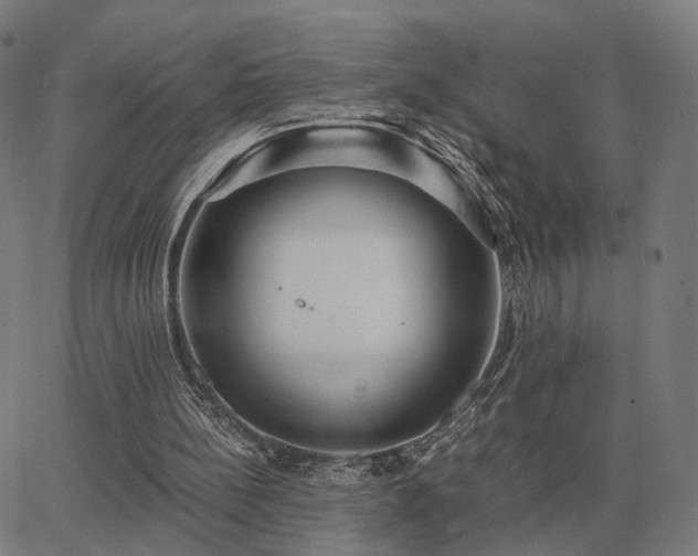 X0000062880148200601201828