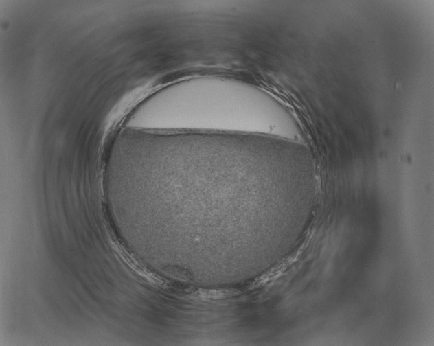 X0000062880149200601201828