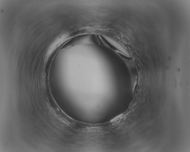 X0000062880150200601201828