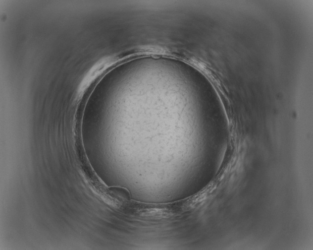 X0000062880151200601201828