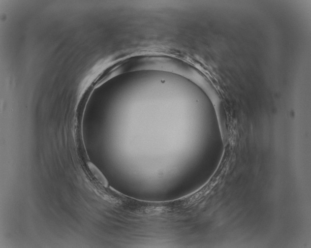 X0000062880152200601201828