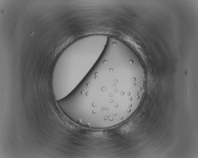 X0000062880153200601201829