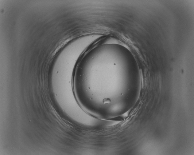 X0000062880154200601201829