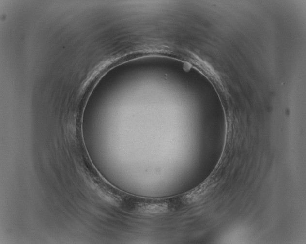 X0000062880155200601201829