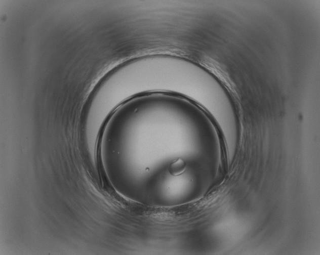 X0000062880156200601201829