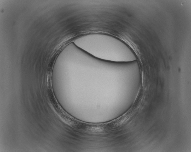 X0000062880157200601201829