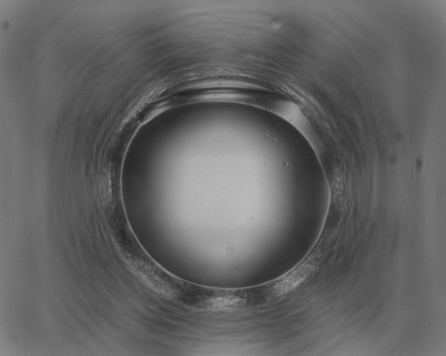 X0000062880158200601201829