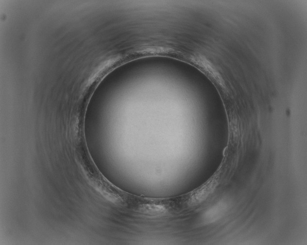 X0000062880159200601201829