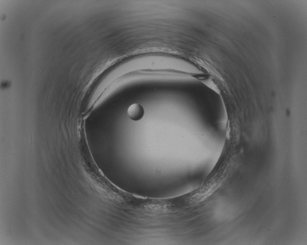 X0000062880160200601201829