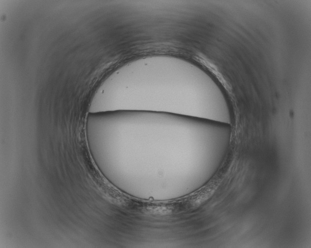 X0000062880161200601201829