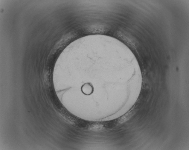 X0000062880162200601201829