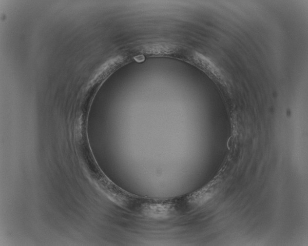 X0000062880163200601201829