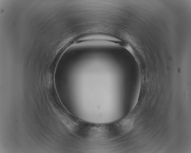 X0000062880164200601201829