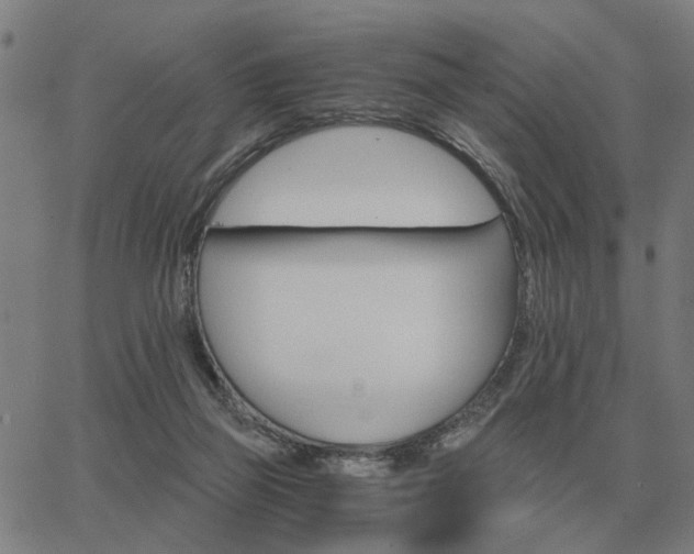 X0000062880165200601201829