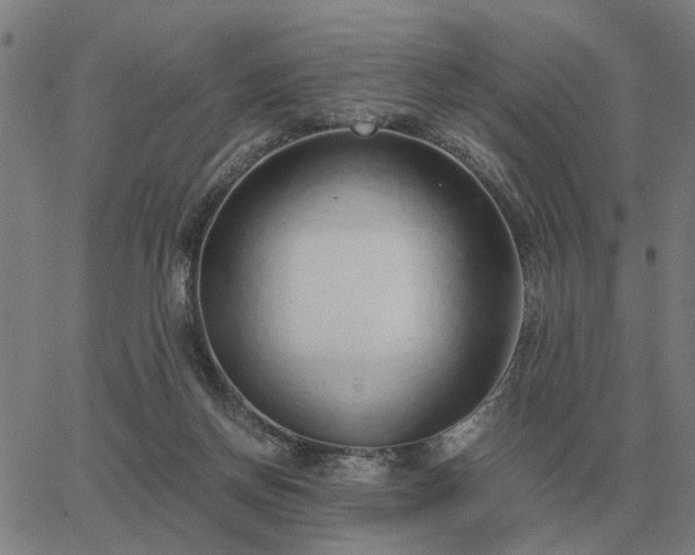 X0000062880166200601201829