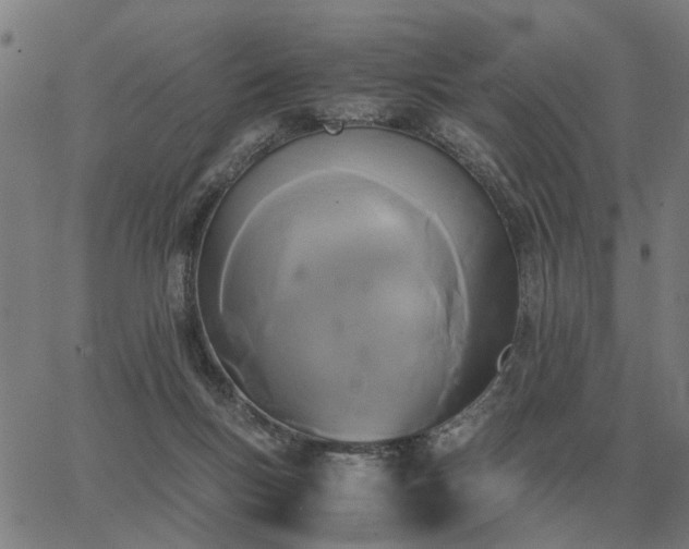 X0000062880167200601201829