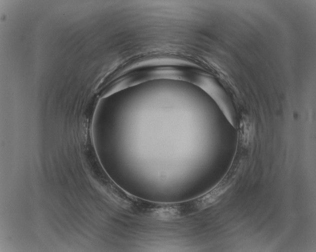 X0000062880168200601201829