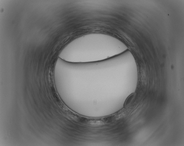 X0000062880169200601201829