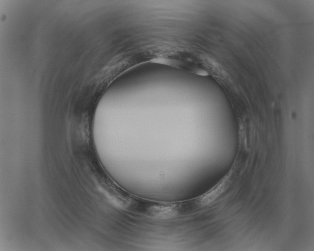 X0000062880170200601201829