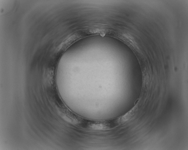 X0000062880171200601201829