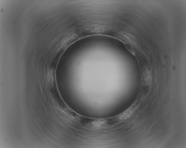 X0000062880172200601201829