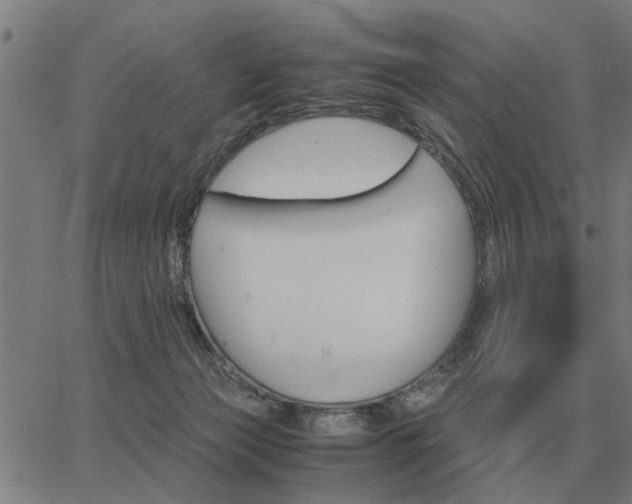 X0000062880173200601201829