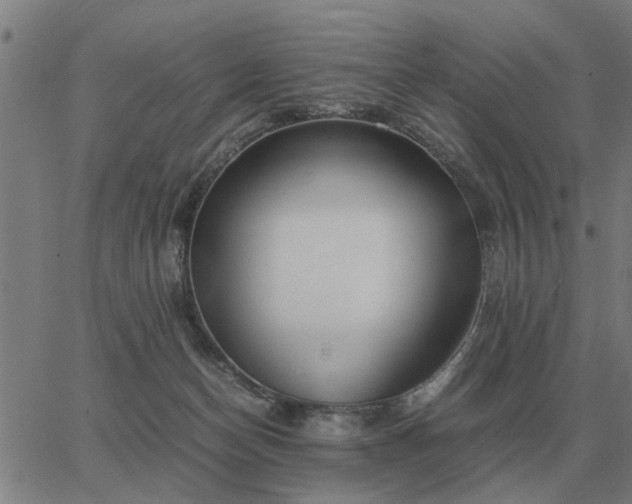 X0000062880174200601201829