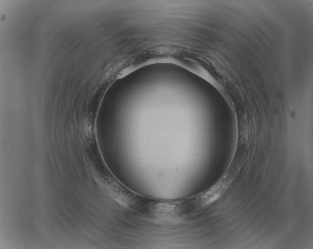 X0000062880176200601201829