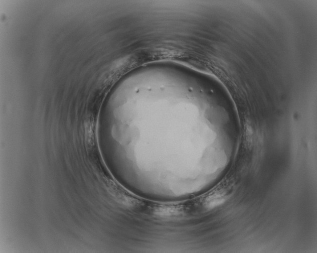 X0000062880177200601201829