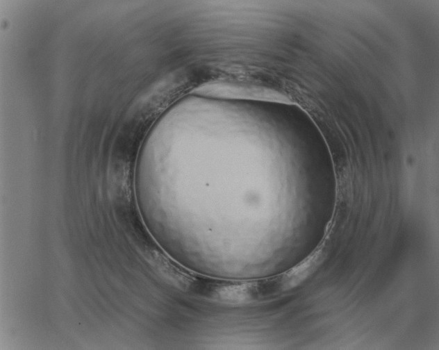 X0000062880178200601201829