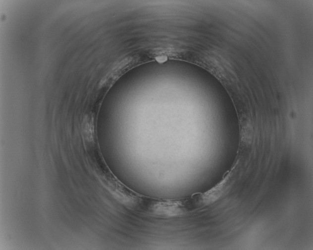 X0000062880179200601201829