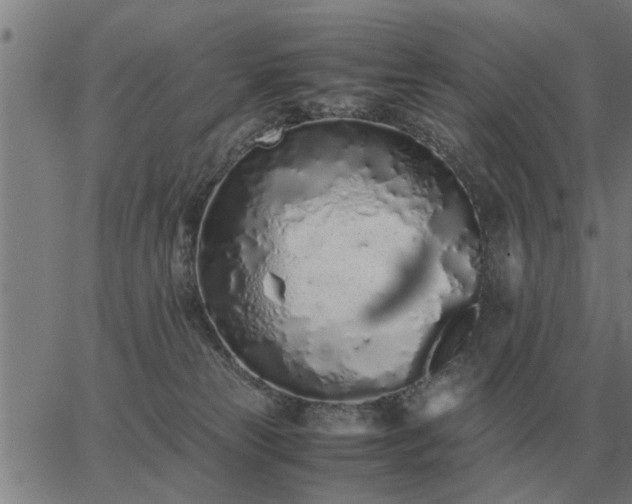 X0000062880181200601201829