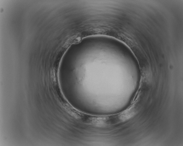 X0000062880182200601201829