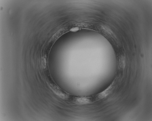 X0000062880183200601201829